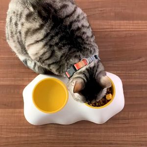 Dog Cat Bowls Pet Bowl Feeder Water Bowl For Pet Dog Cats Puppy Cute Desigin Fried Egg Bowl