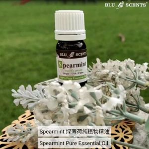 Blu Scents Spearmint Pure Essential Oil 5ml - Invigorating Digestive Support Headache and Fatigue Relief