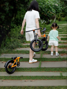 RoyalBaby | Folding Toddler Balance Bike