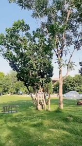 FR-C1228 Hammock Rainbow Ayunan Tempat Tidur Gantung Camping Hiking Outdoor / Ayunan Pohon Kain