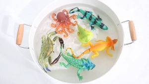 เคลื่อนไหววิดีโอ: โมเดลยางนิ่มสัตว์ทะเลเสมือนจริง ไซส์ใหญ่ฝ่ามือ ล้างได้ เซต7ตัว (คำแนะนำ: ล้างมือ)