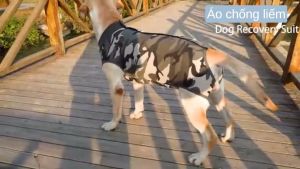 Bộ jumpsuit liền toàn thân áo chống liếm hậu phẫu cai sữa cho chó mèo 4-40kg - Đen Ta pet shop