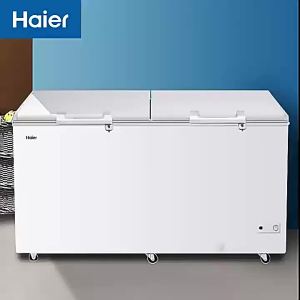 Large Capacity Refrigerator Freezer