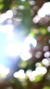 (COD) Glad2Glow peeling gel Apricot Glycolic Acid Exfo Smooth Eksfoliasi peeling | g2g