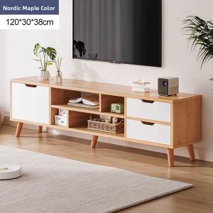 Compact Modern Minimalist TV Cabinet
