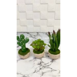 Tanaman Artificial Tanaman Imitasi Sukulen Kaktus Latex Pot Batu Lumut Mini Dekorasi Hiasan Meja Aesthetic