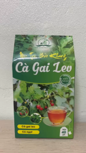 Combo 160 gói trà túi lọc cà gai leo 4 hộp trà cà gai leo Bảo Khang cây cà gai leo trà thảo mộc tự nhiên mts gan thanh nhiệt