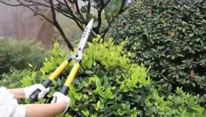 Garden shrub pruning hedge shear grass Retractable Grass Shrub scissor HEDGE SHEARS GRASS SCISSORS GARDEN SHEARS