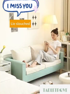 Sofa Small sofa for small apartment living room apartment rental clothing store lounge reception booth single/double seat沙发