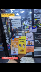 Free 3cc Syringe 60ml Vetmate Papi Doxy All Stages Adult Kitten Puppy Dog Cat Pet Oral Antibacterial