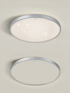 HUIPU ZHAOMING | Starlight LED Ceiling Light