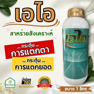 เอไอ สาหร่ายสังเคราะห์ กระตุ้นการแตกตา แตกยอด แตกใบ ช่วยในการผสมเกสรดี ป้องกันเมล็ดลีบ เพิ่มน้ำหนัก ขนาด 1 ลิตร