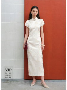 Traditional Style Womens Qipao Dress