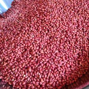 Four Pieces Red Peanuts Shell Off Commercial