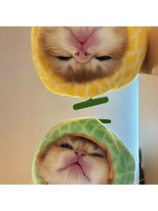 Cute Cat Costume Hat Plush Pet Accessory Baby Cat Photo Prop Toy Decoration Funny Cat Headwear for Cats Pet Supplies