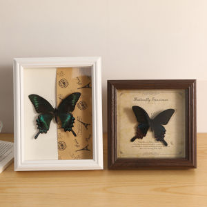 Khung Hình Bướm Thật Thủ Công DIY Khung Hình Trang Trí Nhà Cổ Điển Đồ Trang Trí 3D Đồ Trang Trí Lễ Hội Khung Hình Bướm Thật