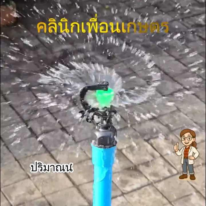 ไชโย สปริงเกอร์ สายฝน 3 in 1 เกลียวใน 4 หุน 6 หุน