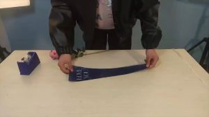 Clear Rose Sleeve / Kantong Bunga /Cellophane/kantong bunga rose single isi 50 pcs dan 100 pcs