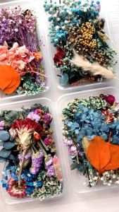 Everlasting dry flower for epoxy resin project real pressed leaf natural for soap candle dry baby breath floral decors