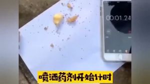 Anti-Insect Spray Cockroach Spray Ant Repellant Ant Killer Bait Ant Medicine Ubat Semut XK