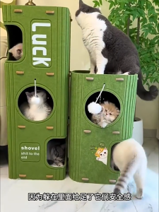 Teeker Pet Cat Beds Cat House with Bed 3-Story Cat Condo with Stable Frame and Scratch Pad Durable Pet Cube Playhouse with Dangling Balls Perfect for Multiple Pets Cat Litter