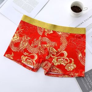 Dragon Year Domineering Dragon Pattern Men Underwear Pure Cotton Youth Boxer My Animal Year Panties Mens Shorts Chinese Fad Shorts Men