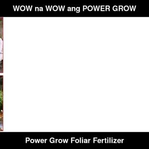 DYNAPHARM POWER GROW ORGANIC FOLIAR COMPLETER FERTILIZER RED AND GREEN PAMBABULAKLAK PAMPABUNGA HUMIC SOIL CONDITIONER