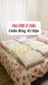 Bộ Chăn Ga Gối 5 Món Cottong Đũi Chăn Chần Bông Xơ Đậu Nành  Nhập Khẩu Hàng Loaị 1 bảng màu hothit xinh xắn