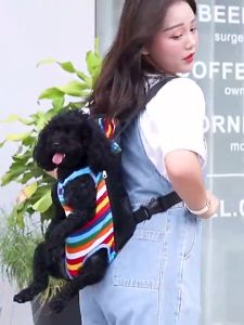 Dog Strap Pet Strap Cat Strap Mesh Adjustable Breathable Outdoor Strap