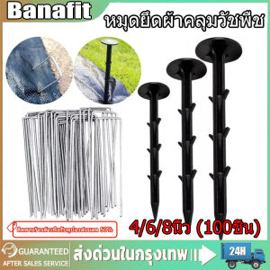 *ส่งไว* หมุดยึดผ้าคลุมวัชพืช หมุดยึด หมุดปักผ้าคลุมดิน 4/6/8นิ้ว (100ชิ้น) เหล็กเสียบคลุมดิน แข็ง ทนทาน วัสดุpp หมุดปักดิน สมอบก ตะปูปักดิน เหล็กปักดิน เหล็กเสียบ ผ้าคลุมวัชพืช เหล็กปักดิน