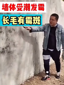 Wall Mildew Agent Cleaner Mould Wall Remover Spray Powerful Effect Wall Mold Remover Spray 500ML/墙面除霉剂 清洁剂 除霉剂墙壁除霉剂喷雾