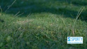 Dây nhảy thể lực dây nhảy giảm cân SPORTY TS85 cao cấp tập thể dục thể thao thể hình