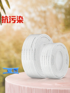「China Plug」JINXIANQUAN | 3/4 Inch PE Water Pipe Filter Connector for RO Water Purifier