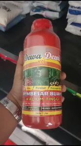 PUPUK CAIR KCL DEWA DEWI 1 LITER PUPUK PEMBESARAN DAN PEMBUAHAN