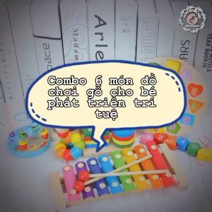 Combo 6 món đồ chơi gỗ Montessori phát triển trí tuệ cho bé - Đồ chơi gỗ thông minh