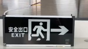 Plug in Electricity Style Corridor Fire Emergency Light LED Safety Export Indicator Luminous Signer