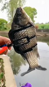 Tang Penjepit Ikan Bahan Logam Alat Penjepit Ikan Grip Dari Tiga Gigi Alat Jepit Ikan