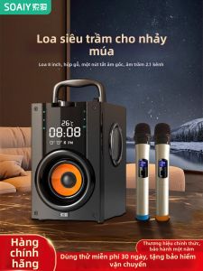 soaiy | High Fidelity Large Volume Karaoke Wireless Speaker