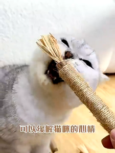 【SG Local】Premium Wood Celestial Cat Toy Cat Teething Stick For Cat Molar Grinding Dental Stick & Hairball Relief