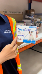 NexGard Dog [Size M 4-10kg] -  Viên nhai mềm phòng Ngoại ký sinh (ve rận bọ chét ghẻ) dành cho Chó - 1 Hộp 6 viên