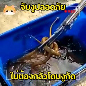 คีมจับงูจับงูพร้อมตัวล็อคนิรภัย พับได้ 0.75/1/1.2/1.5mอุปกรณ์จับงู เครื่องดักปลาไหลมา กัดแรงไม่เป็นสนิมง่ายไม่เสียหายง่าย พกพาสะดวกsnake catcher