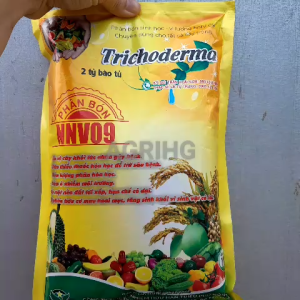 Nấm đối kháng Trichoderma Gói 1 Kg -Ủ phân chuồng rác bã hữu cơ hoai mục phân giải chất hữu cơ tơi đất hạn chế nấm hại rễ thối rễ