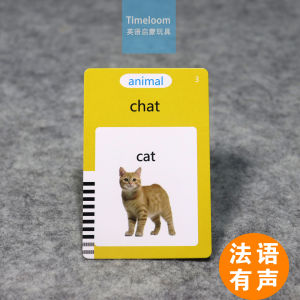 Early Education Flashcards with Audio Card Machine for Language Learning French And English Cross-Border Toys for Kids