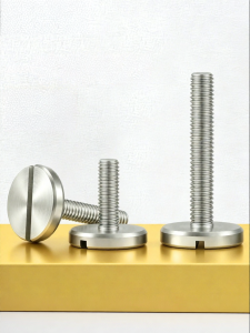 BAIRUITE | 304 Stainless Hand-Tightening Screw