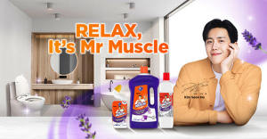 Mr Muscle Multi Purpose Cleaner 500ml