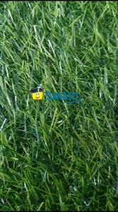 (1BIJI) JOYKO STAPLES ST-21 PURPLE