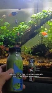 Makanan Serbuk Spirulina Powder 400 gr Untuk Warna Cupang Guppy dan Ikan Kecil Lainnya IKANESIA
