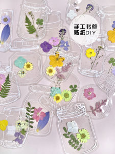 Handmade DIY Dried Flower Bookmarks Transparent Bottle Stickers Kindergarten Primary School Students Specimen Gifts