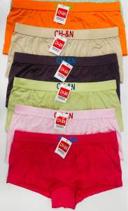 6PCS Women Comfortable Seamless Panty Like A Boxer Safety Lingerie Underwear