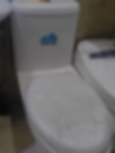 Affordable Bathroom toilet/ 1pc Water closet Ceramic / Soft closing and Water saver